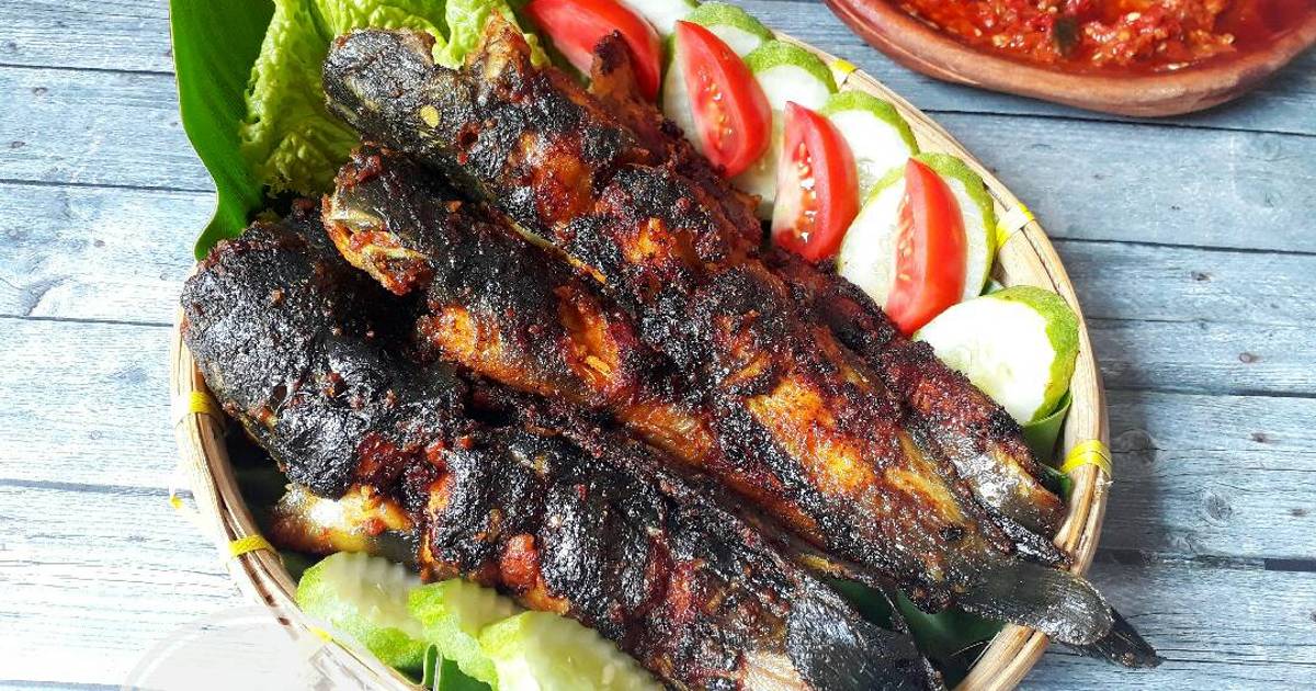 Menggoda Selera: Ikan Lele Bakar Sambal Aceh, Sensasi Pedas yang Bikin Nagih